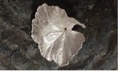 Catherine Dillimore’s Geranium leaf